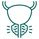 icon why choose four